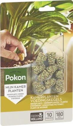 Pokon Kamerplanten Voedingskegels - 10st - Plantenvoeding - 6 Maanden Voeding -Buitentuinwinkel 699x1200 3
