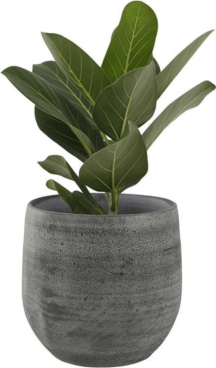 Merkloos Pot Esra Mystic Grey Bloempot Binnen 22 Cm 6 Merkloos Pot Esra Mystic Grey Bloempot Binnen 22 Cm - Afbeelding 4
