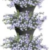 Elho Corsica Vertical Forest 24 - Bloempot Voor Balkonbuiten - Ø 26.7 X H 29.7 Cm - Zwart/Antraciet 1 Elho Corsica Vertical Forest 24 - Bloempot Voor Balkonbuiten - Ø 26.7 X H 29.7 Cm - Zwart/Antraciet -Buitentuinwinkel 765x1200 1