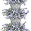 Elho Corsica Vertical Forest 24 - Bloempot Voor Balkonbuiten - Ø 26.7 X H 29.7 Cm - Wit/Wit -Buitentuinwinkel 767x1200 1