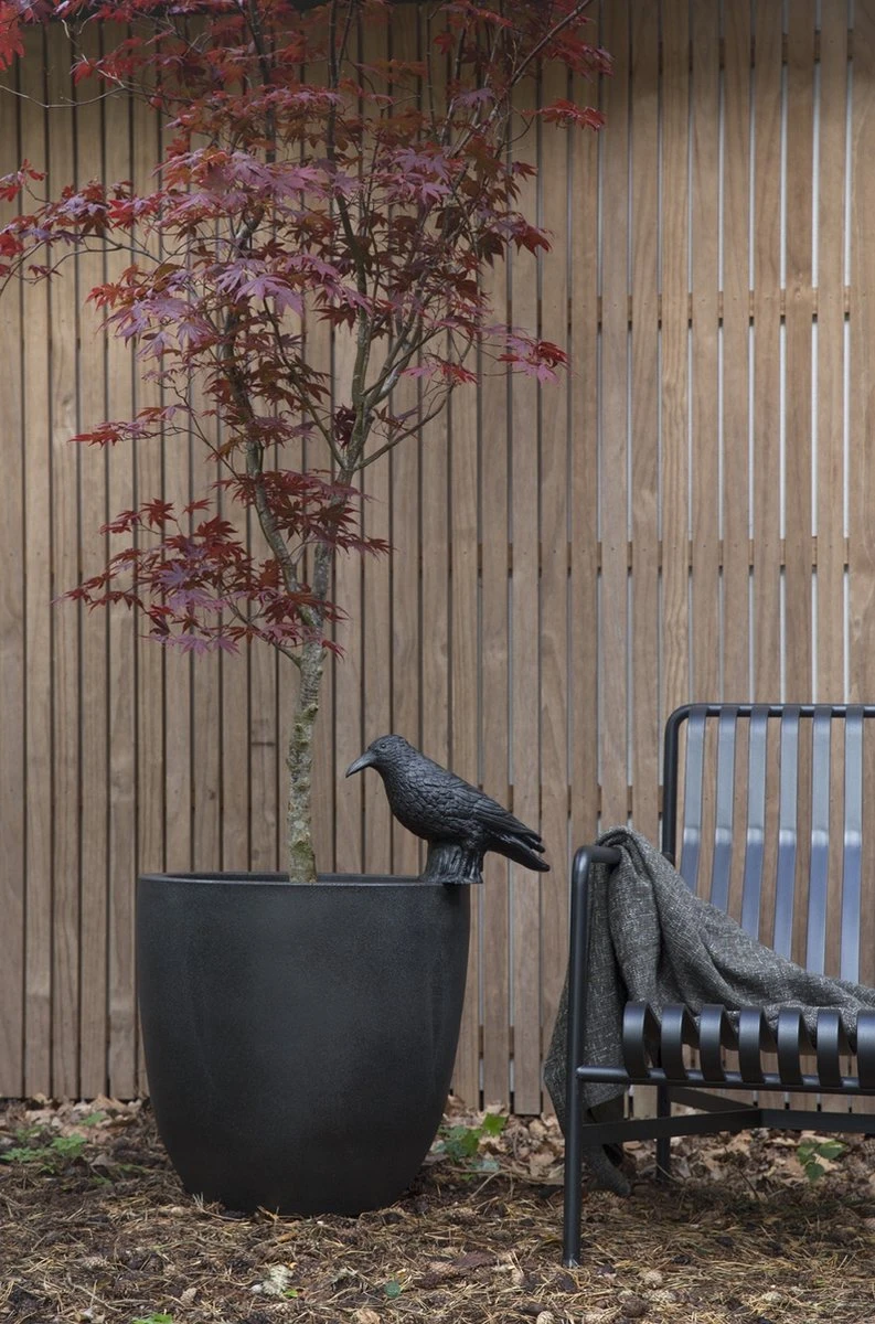 Capi Europe - Bloempot Bol Smooth NL - 54x52 - Zwart - Voor Binnen En Buiten - KBL935 8 Capi Europe - Bloempot Bol Smooth NL - 54x52 - Zwart - Voor Binnen En Buiten - KBL935 - Afbeelding 6