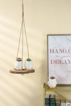Set Van 2 Boomstam Rond Wandrek Plantenhangers - Boho Jute Houten Plantenrek - Hangpot Voor Binnen/Buiten - Hangende Bloempot Plank - Hangplant Houder - Bohemian Macrame Stijl Wandhanger - Hangplank Plant Hanger - Planthanger - Ø Rond 25-20cm -Buitentuinwinkel 799x1200 31