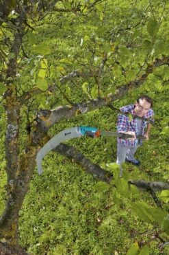 GARDENA Combisysteem Snoeizaag 300PP Curved Takkenzaag - Meslengte 315 Mm - Exclusief Verlengstok -Buitentuinwinkel 799x1200 64