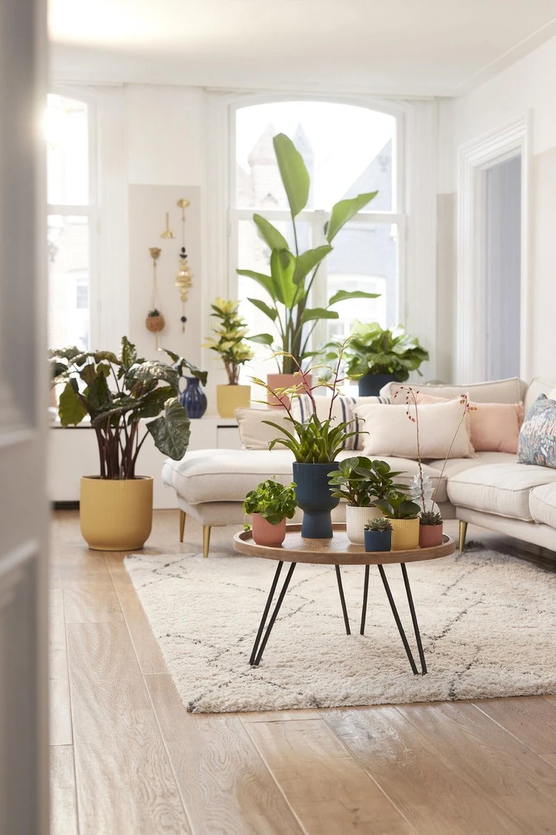 Elho Vibes Fold Rond Wielen 35 - Bloempot Voor Binnen - Ø 34.9 X H 32.4 Cm - Delicaat Roze 6 Elho Vibes Fold Rond Wielen 35 - Bloempot Voor Binnen - Ø 34.9 X H 32.4 Cm - Delicaat Roze - Afbeelding 4