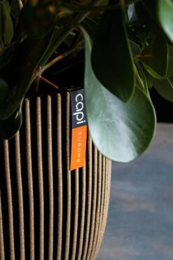 Capi Europe - Bloempot Bol Groove NL - 35x34 - Goud - Voor Binnen En Buiten - KGVGB932 -Buitentuinwinkel 800x1200 107