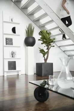 Capi Europe - Bloempot Vierkant Smooth NL - 40x40x40 - Zwart - Voor Binnen En Buiten - KBL903 -Buitentuinwinkel 800x1200 108