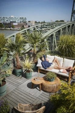 Elho Greenville Rond 30 - Grote Bloempot Voor Buiten - Gemaakt Van Gereycled Plastic - Ø 29.5 X H 27.8 Cm - Blad Groen 27 Elho Greenville Rond 30 - Grote Bloempot Voor Buiten - Gemaakt Van Gereycled Plastic - Ø 29.5 X H 27.8 Cm - Blad Groen -Buitentuinwinkel 800x1200 114