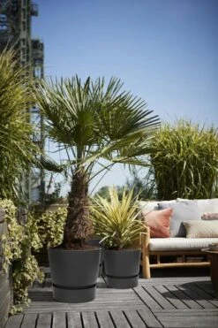 Elho Greenville Rond 40 - Grote Bloempot Voor Buiten - Gemaakt Van Gereycled Plastic - Ø 39.0 X H 36.8 Cm - Living Black -Buitentuinwinkel 800x1200 116