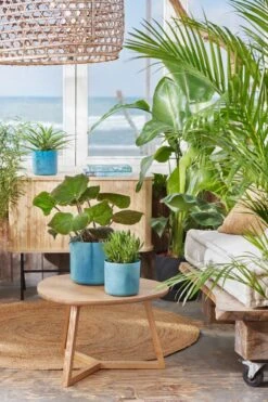 Elho The Ocean Collection Round 22cm - Bloempot Voor Binnen - 100% Gerecycled Materiaal - Gemaakt Met Zeeafval - Ø 22.3 X H 20.4 Cm - Atlantisch Blauw -Buitentuinwinkel 800x1200 119