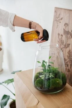 24DOTS Living Plantenspuit | 500 Ml Bruin Amber Glas | Plantensproeier | Plantenspuit Binnen | Waterverstuiver | Vernevelaar -Buitentuinwinkel 800x1200 12