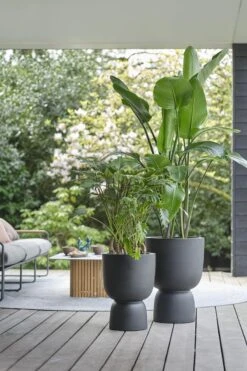 Elho Pure Coupe 41 - Bloempot Voor Binnen & Buiten - Ø 41.3 X H 57.9 Cm - Zwart/Zwart -Buitentuinwinkel 800x1200 126