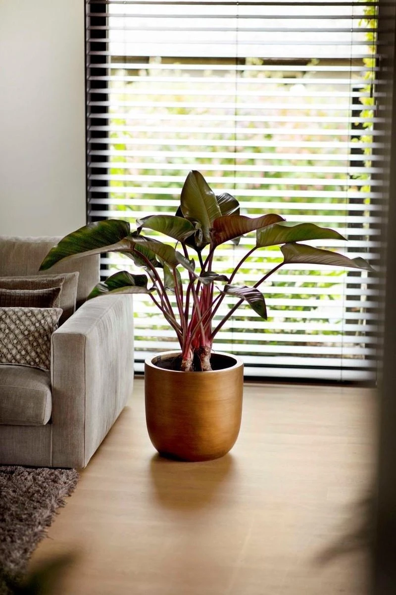 Capi Europe - Bloempot Bol Retro - 23x21 - Goud - Bloempot Voor Binnen - BRTG134 13 Capi Europe - Bloempot Bol Retro - 23x21 - Goud - Bloempot Voor Binnen - BRTG134 - Afbeelding 11