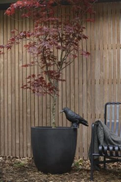 Capi Europe - Bloempot Bol Smooth NL - 43x41 - Zwart - Voor Binnen En Buiten - KBL933 -Buitentuinwinkel 800x1200 138