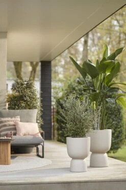 Elho Pure Coupe 35 - Bloempot Voor Binnen & Buiten - Ø 34.9 X H 49.0 Cm - Beige/Balanced Beige -Buitentuinwinkel 800x1200 154