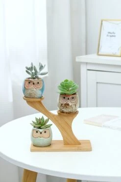 Luxe Bamboe Houten Boom Met 3 Keramiek Uil Bloempotten/Plantenpotten Op Standaard/Voet Voor Binnen En Buiten - Modern Design Bloempot/Plantenpot Op Poten/Pootjes-Plantenbak Mini Cactus Nep Plant Pot Houder - Kleine Bloembakken Plantenrek/Plantenkurk -Buitentuinwinkel 800x1200 157