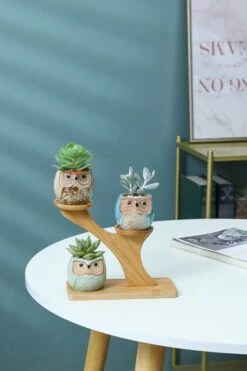 Luxe Bamboe Houten Boom Met 3 Keramiek Uil Bloempotten/Plantenpotten Op Standaard/Voet Voor Binnen En Buiten - Modern Design Bloempot/Plantenpot Op Poten/Pootjes-Plantenbak Mini Cactus Nep Plant Pot Houder - Kleine Bloembakken Plantenrek/Plantenkurk -Buitentuinwinkel 800x1200 158