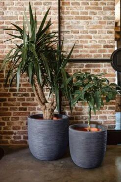 Capi Europe - Bloempot Bol Rib NL - 35x34 - Ivoor - Voor Binnen En Buiten - KOFI932 -Buitentuinwinkel 800x1200 159