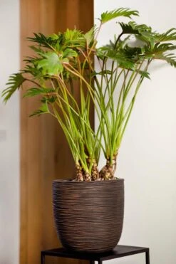 Capi Europe - Bloempot Bol Rib NL - 35x34 - Ivoor - Voor Binnen En Buiten - KOFI932 -Buitentuinwinkel 800x1200 160