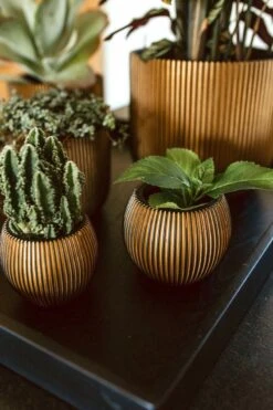 Capi Europe - Vaas Bol Groove XL - 39x33 - Goud - Bloempot Voor Binnen - Opening ⌀24 - GVGB270 9 Capi Europe - Vaas Bol Groove XL - 39x33 - Goud - Bloempot Voor Binnen - Opening ⌀24 - GVGB270 -Buitentuinwinkel 800x1200 162