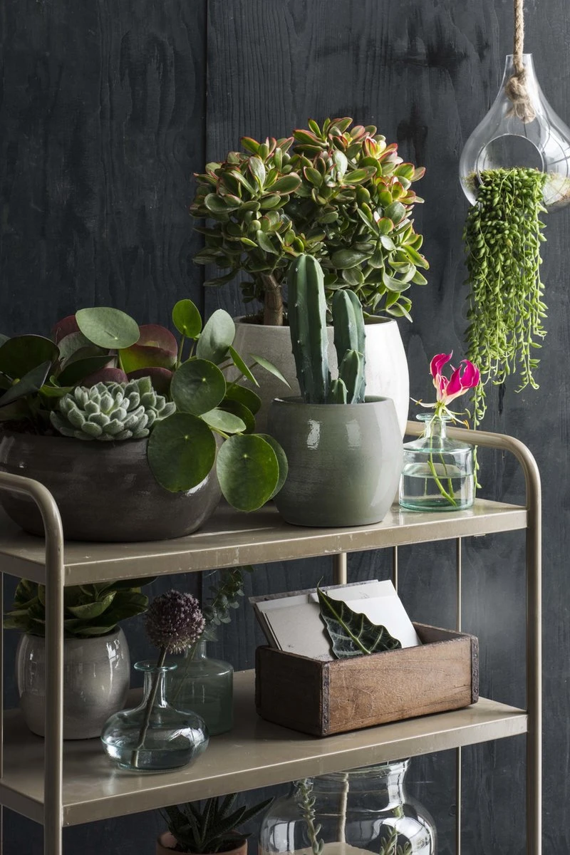 Mica Decorations Lester Bloempot - H31 X Ø33 Cm - Terracotta - Groen 5 Mica Decorations Lester Bloempot - H31 X Ø33 Cm - Terracotta - Groen - Afbeelding 3