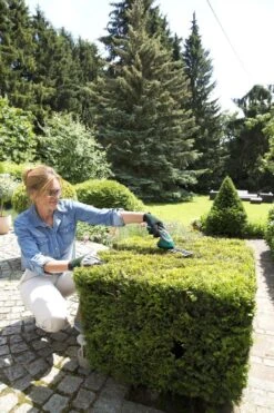 Bosch ISIO Gen III Accu Buxusschaar + Grasschaar -Buitentuinwinkel 800x1200 186