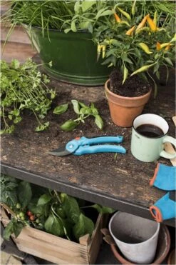 GARDENA - Classic B/S-M Bypass Snoeischaar - Ø 22mm - 25 Jaar Garantie 18 GARDENA - Classic B/S-M Bypass Snoeischaar - Ø 22mm - 25 Jaar Garantie -Buitentuinwinkel 800x1200 198