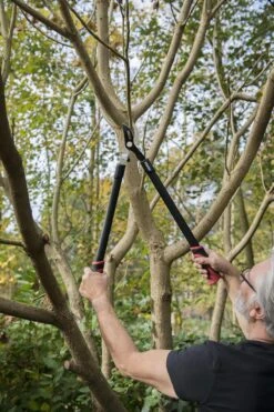 Kreator KRTGR4001 Takkenschaar - 650mm -Buitentuinwinkel 800x1200 206