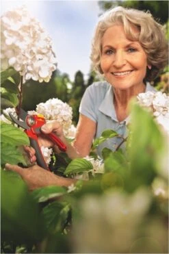 WOLF-Garten Snoeischaar "Premium Plus" RR 4000 - Max. Knipdiameter 22 Mm - Links- En Rechtshandige - Softinleg Handgreep - Snijhoek 30° - Voor Grote Handen - Vervangbare Messen -Buitentuinwinkel 800x1200 234