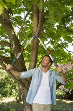 Gardena TeleCut Takkenschaar 650-900 B - Uitschuifbare Armen - Tot Max 90 Cm -Buitentuinwinkel 800x1200 237