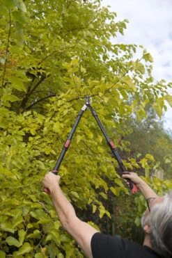 Kreator KRTGR4003 Telescopische Takkenschaar – Jong Hout - Knipdiameter: Ø34 Mm 9 Kreator KRTGR4003 Telescopische Takkenschaar – Jong Hout - Knipdiameter: Ø34 Mm -Buitentuinwinkel 800x1200 238