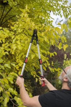 Kreator KRTGR4013 Telescopische Takkenschaar - 63-89 Cm Totale Lengte - . Ø39 Mm Knipdiameter -Buitentuinwinkel 800x1200 239