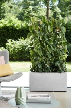 Elho Vivo Structure Finish Lang 90 - Plantenbak Voor Binnen & Buiten - Ø 88 X H 41 - Wit -Buitentuinwinkel 800x1200 71