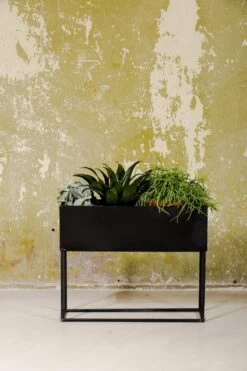 SENZA Rechthoekige Plantenbak - Bloemenbak Ijzer - 42.5 X 34cm - Zwart -Buitentuinwinkel 800x1200 72