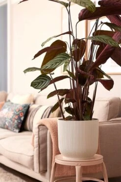 Elho Vibes Fold Rond 30 - Bloempot Voor Binnen - Ø 29.5 X H 27.2 Cm - Zijdewit -Buitentuinwinkel 800x1200 77