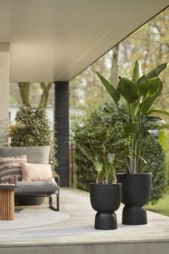 Elho Pure Coupe 35 - Bloempot Voor Binnen & Buiten - Ø 34.9 X H 49.0 Cm - Zwart/Zwart 39 Elho Pure Coupe 35 - Bloempot Voor Binnen & Buiten - Ø 34.9 X H 49.0 Cm - Zwart/Zwart -Buitentuinwinkel 800x1200 87