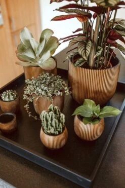 Capi Europe - Bloempot Bol Groove - 23x21 - Goud - Bloempot Voor Binnen - BGVGB134 -Buitentuinwinkel 800x1200 90