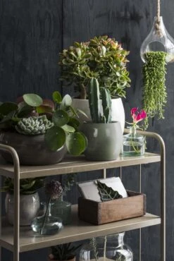 Mica Decorations Lester Bloempot - H31 X Ø33 Cm - Terracotta - Groen 20 Mica Decorations Lester Bloempot - H31 X Ø33 Cm - Terracotta - Groen -Buitentuinwinkel 801x1200 14