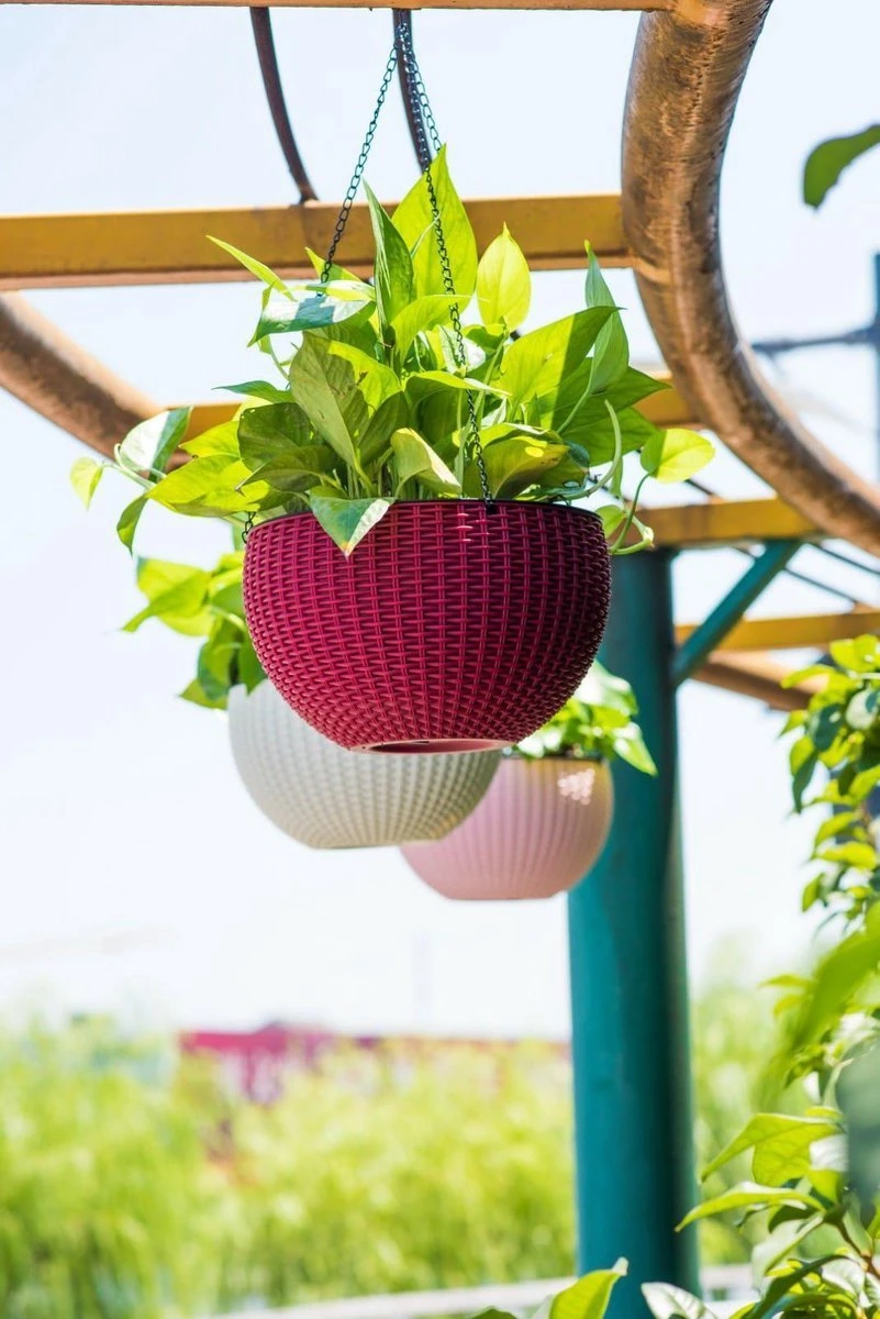 Hangpot Kunststof – Bloempot Hangend – Binnen & Buiten- Plantenhanger –Incl. Afvoerstop – 26 Cm - Zwart 5 Hangpot Kunststof – Bloempot Hangend – Binnen & Buiten- Plantenhanger –Incl. Afvoerstop – 26 Cm - Zwart - Afbeelding 3