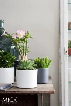 Mica Decorations Era Bloempot - H26 X Ø28 Cm - Wit -Buitentuinwinkel 803x1200 5