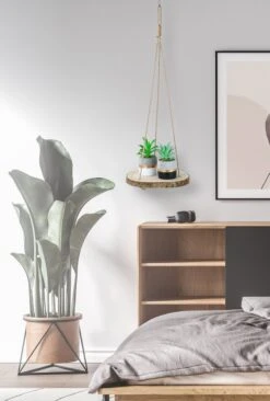 Set Van 2 Boomstam Rond Wandrek Plantenhangers - Boho Jute Houten Plantenrek - Hangpot Voor Binnen/Buiten - Hangende Bloempot Plank - Hangplant Houder - Bohemian Macrame Stijl Wandhanger - Hangplank Plant Hanger - Planthanger - Ø Rond 25-20cm -Buitentuinwinkel 809x1200