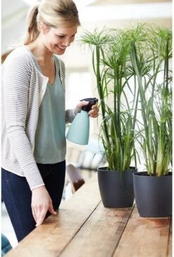 Elho Brussels Sprayer 12 - Plantenspuit Voor Binnen - Ø 11.3 X H 22.3 Cm - Groen/Mint -Buitentuinwinkel 813x1200