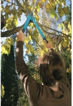 GARDENA Comfort 500 BL Takkenschaar - Max Knipdiameter 35 Mm 16 GARDENA Comfort 500 BL Takkenschaar - Max Knipdiameter 35 Mm -Buitentuinwinkel 825x1200 12