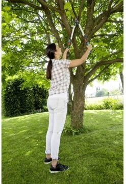 GARDENA - TeleCut Telescopische - Takkenschaar 520-670B - 42 Mm Verstelbare Lengte -Buitentuinwinkel 826x1200 6