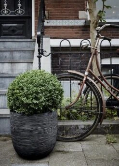 Capi Europe - Bloempot Bol Rib NL - 35x34 - Zwart - Voor Binnen En Buiten - KBLR932 -Buitentuinwinkel 864x1200 1