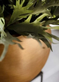 Capi Europe - Vaas Bol Retro - 30x25 - Goud - Bloempot Voor Binnen - BRTG104 -Buitentuinwinkel 869x1200 1