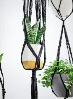 4 Stuks Luxe Macrame Plantenhangers - Boho Handgeweven Katoen Hangpot Voor Binnen/Buiten - Hangende Bloempot Met Kralen - Macramé Touw/Koord Hangplant Houder - Bohemian Wandhanger Decoratie - Plant Hanger - Verticale Tuin Bloempothouder Planthanger -Buitentuinwinkel 880x1200 4