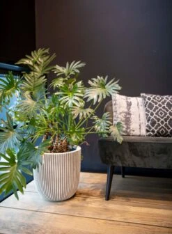 Capi Europe - Bloempot Bol Groove NL - 35x34 - Goud - Voor Binnen En Buiten - KGVGB932 -Buitentuinwinkel 883x1200 2