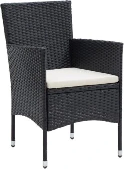 VidaXL 5-delige Tuinset Met Kussens Zwart -Buitentuinwinkel 886x1200 2