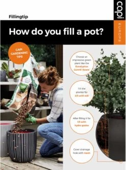 Capi Europe - Bloempot Bol Rib NL - 54x52 - Zwart - Voor Binnen En Buiten - KBLR935 -Buitentuinwinkel 894x1200 3