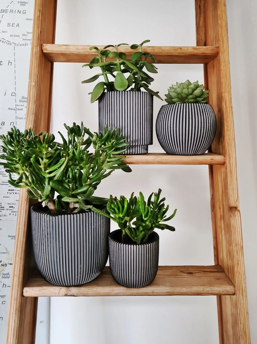 Capi Europe - Set Van 4 - Bloempot Binnen - Groove - Antraciet 6 Capi Europe - Set Van 4 - Bloempot Binnen - Groove - Antraciet - Afbeelding 4